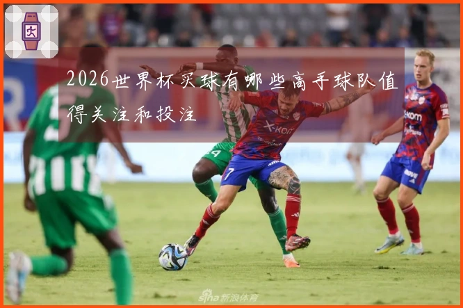 2026世界杯买球有哪些高手球队值得关注和投注