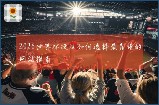 2026世界杯投注如何选择最靠谱的网站指南