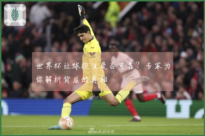 世界杯让球投注是否可靠？专家为你解析背后的真相