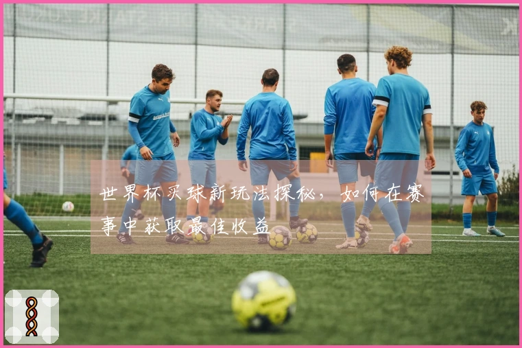 世界杯买球新玩法探秘，如何在赛事中获取最佳收益