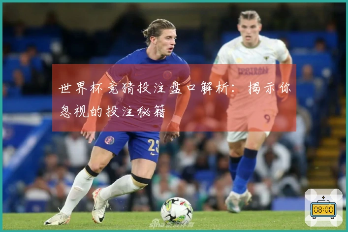 世界杯竞猜投注盘口解析：揭示你忽视的投注秘籍