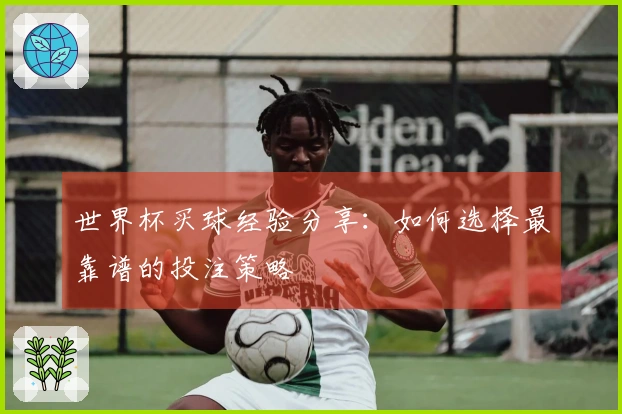 世界杯买球经验分享：如何选择最靠谱的投注策略