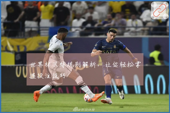 世界杯买球规则解析，让你轻松掌握投注技巧